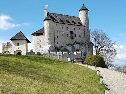 Pętla Zamek Bobolice – Zamek Mirów