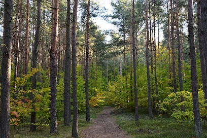 Rezerwat Sokole Góry